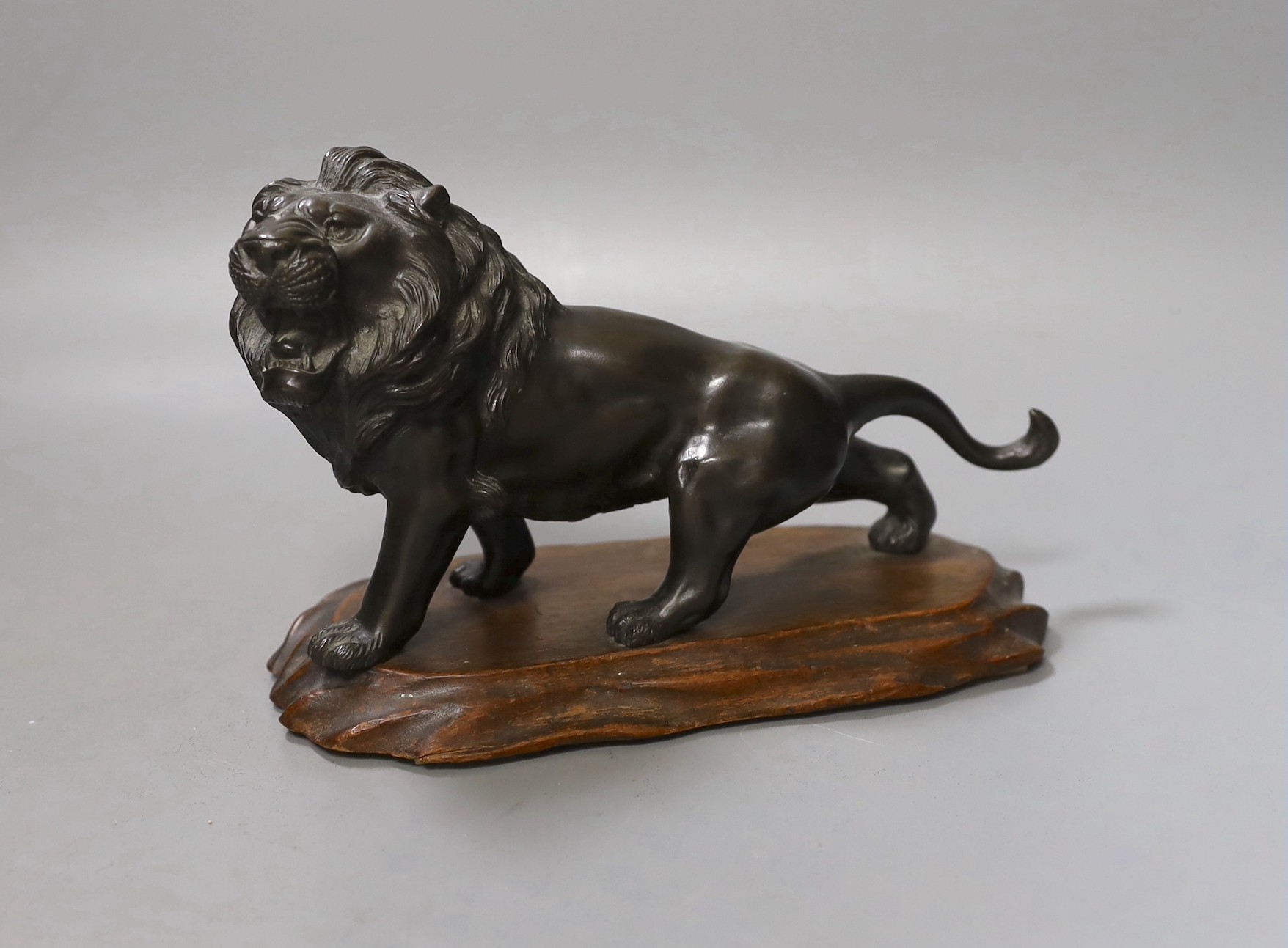 A Japanese bronze model of a lion, Meiji period, signed tablet to underside of torso. 22cm long